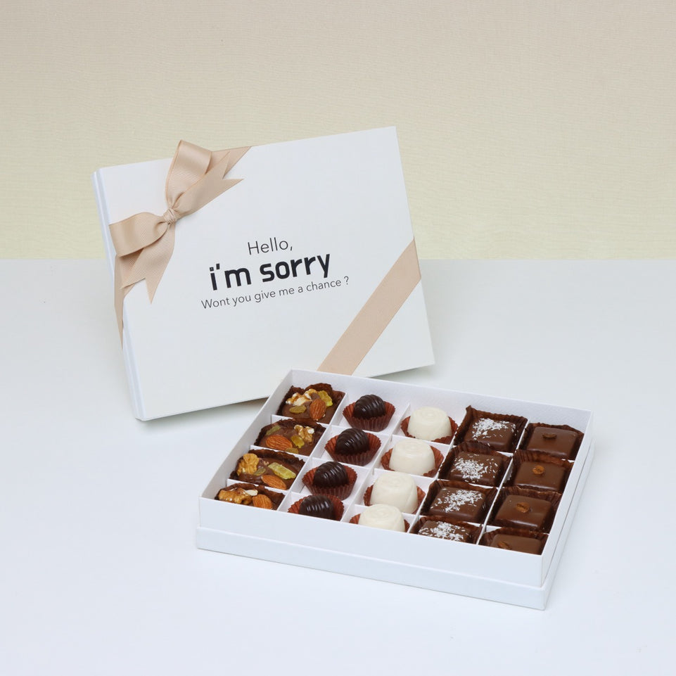 "HELLO, I'M SORRY" DESIGNED 20-PIECE CHOCOLATE HARD BOX